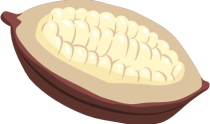 D06