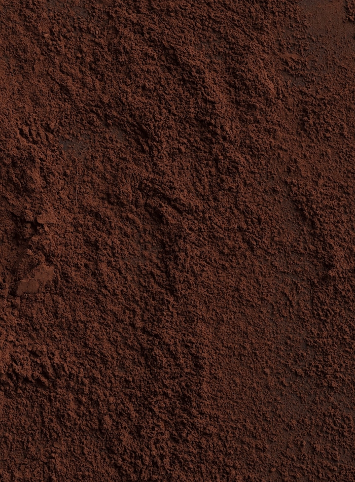 Close-up of chocolate candies over chocolate powder background
